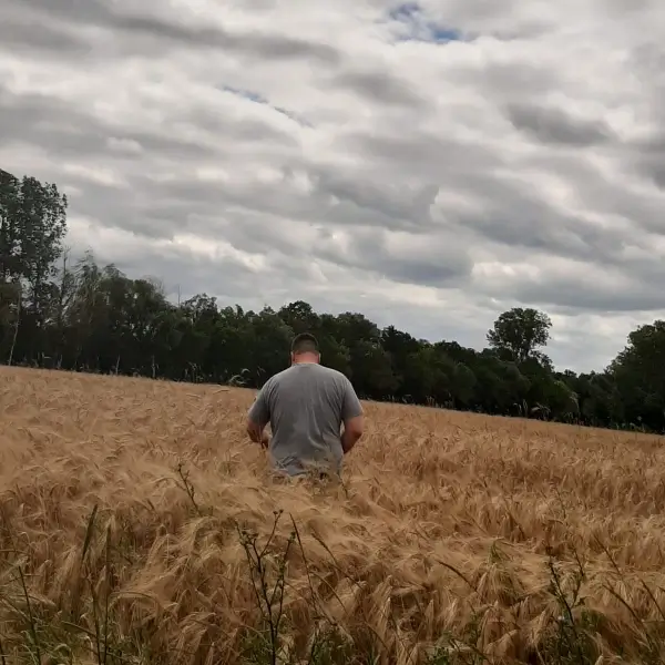 Landwirtschaftsbetrieb Thomas Seehaus – Wir suchen landwirtschaftliche Flächen zum Pachten oder Kaufen.