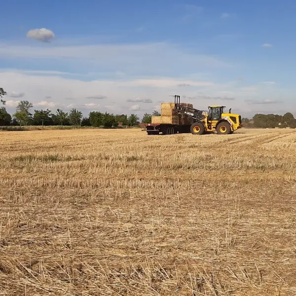 Landwirtschaftsbetrieb Thomas Seehaus – Wir suchen landwirtschaftliche Flächen zum Pachten oder Kaufen.